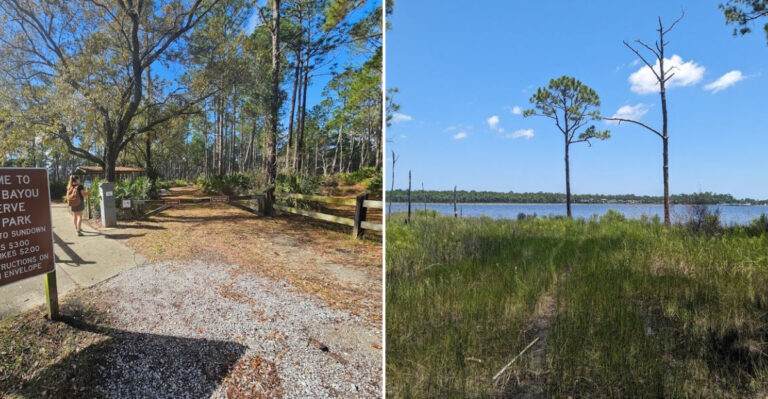 The 4,290-Acre Florida State Park Most Travelers Completely Miss