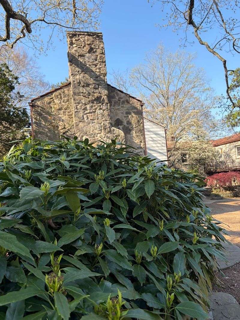 Stone Buildings And Old Walls That Tell A Story Without Saying A Word