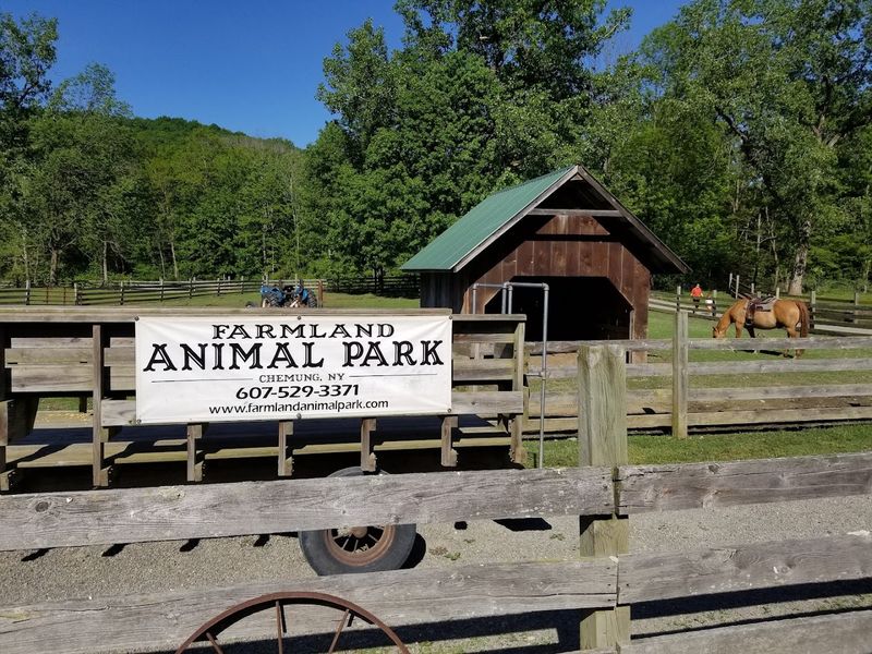 Wagon Rides Give You The Full Lay Of The Land