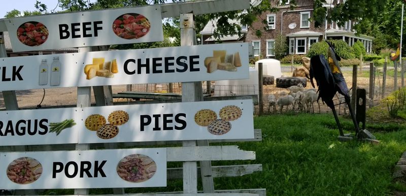 Fresh Farm Products That Are Worth Bringing Home