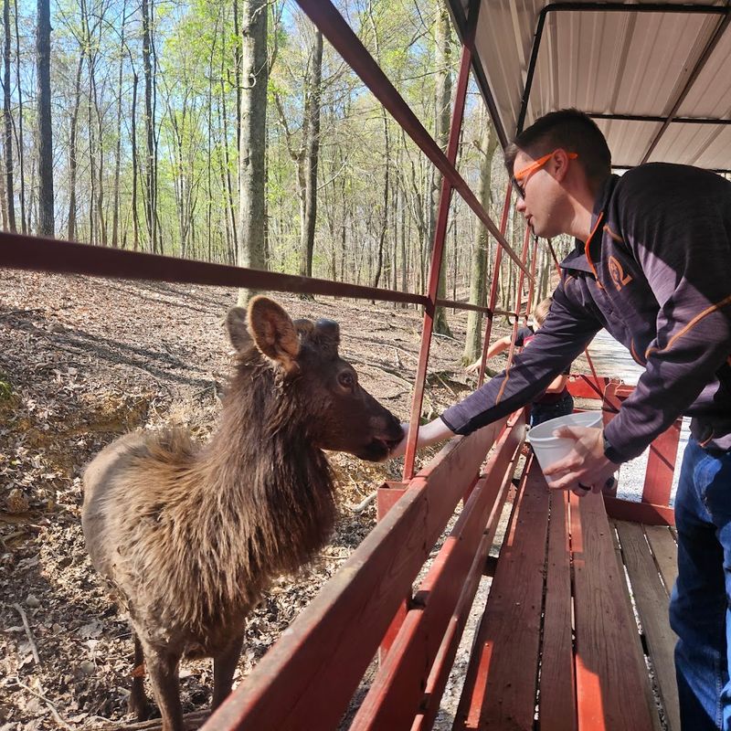 The Wagon Ride Option For A Guided Experience