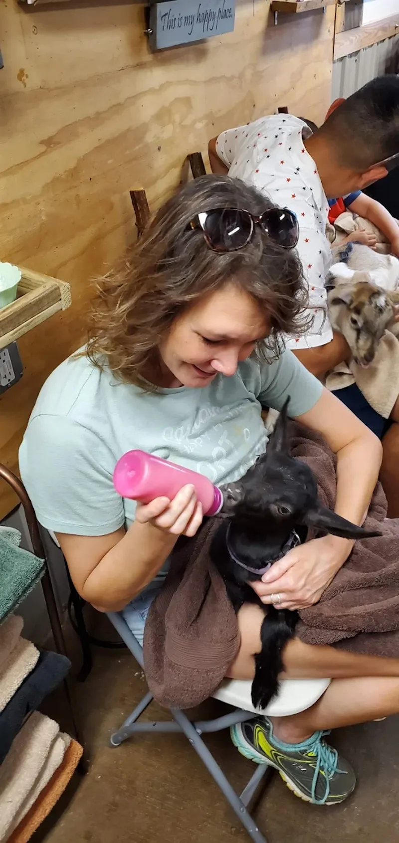 Bottle Feeding The Farm Animals Up Close