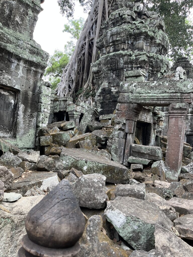 The Bayon Temple has been destroyed slowly and methodically for centuries by tree roots