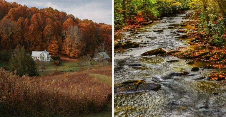 The Beautiful Mountain Park In Tennessee That Feels Like A Secret World