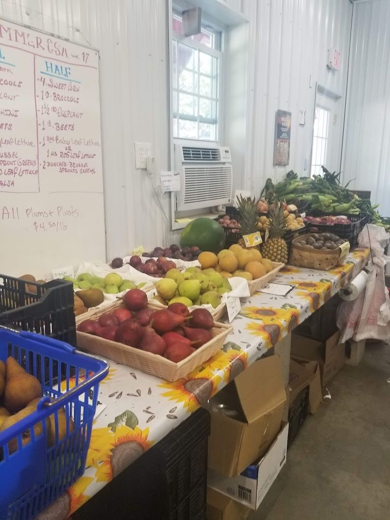 A Fresh Find Worth The Trip