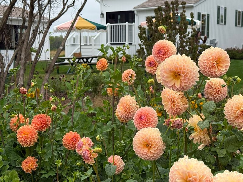 Why This Seasonal Stop Is Worth Your Time