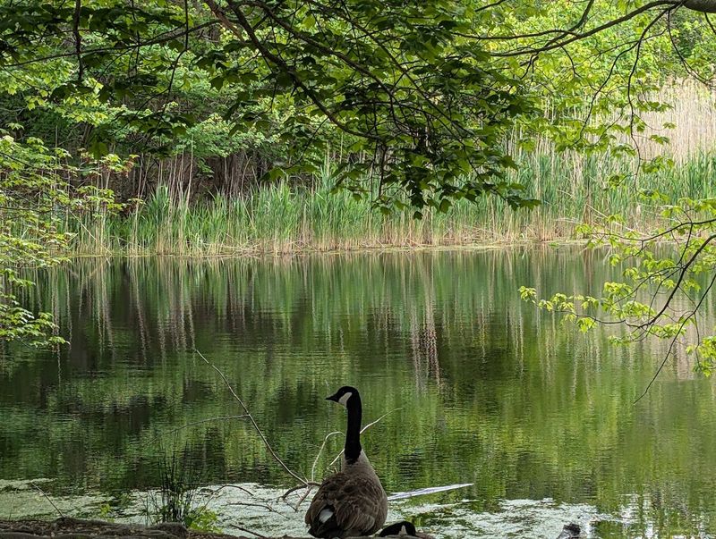 Elizabeth A. Morton National Wildlife Refuge