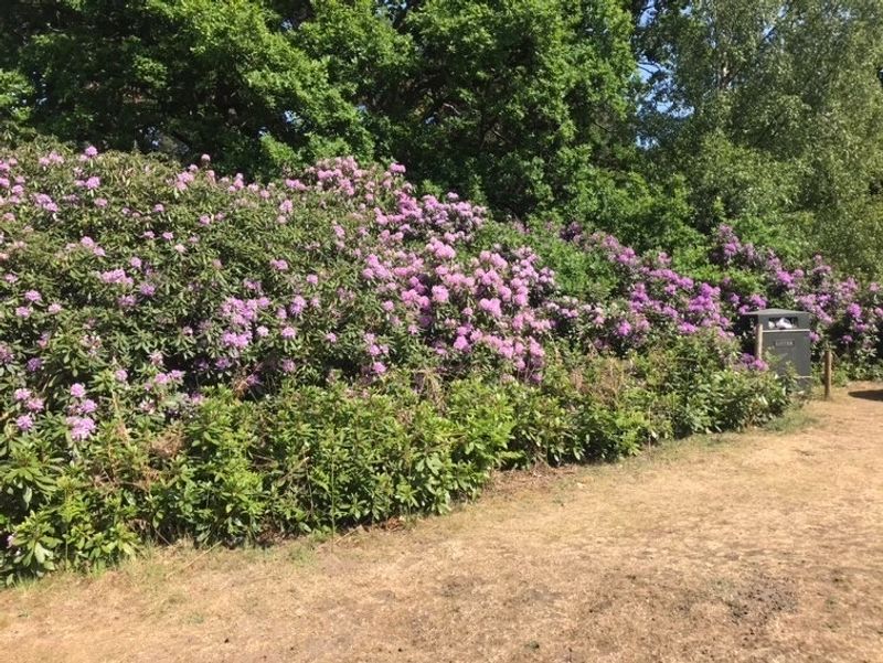 Mineral Springs That Put This Village On The Map