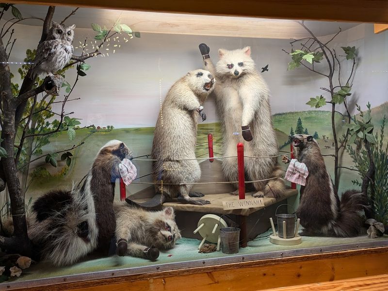 Travelers Stop By Just To See The Incredible Wildlife Displays