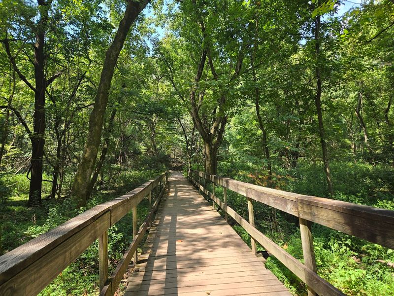 The Boardwalk That Follows The Lake's Edge