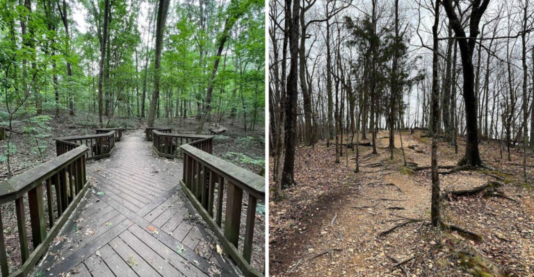 The Captivating Boardwalk At This Tennessee State Park Will Take Your Breath Away