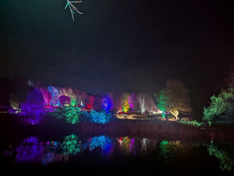 Night Lights And The Park After Dark