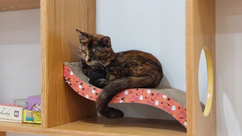 Reservations, Sessions, And How To Plan Your Visit Well