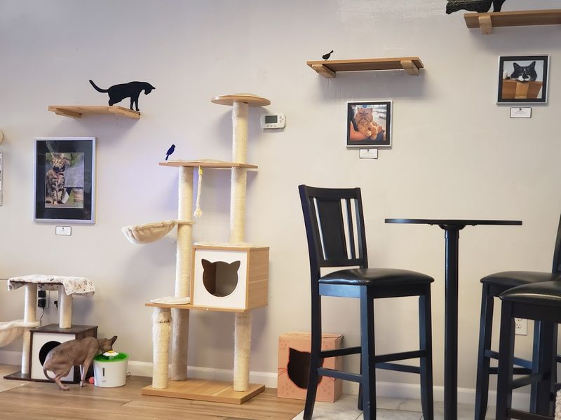 Visiting Hours And How To Book Your Session