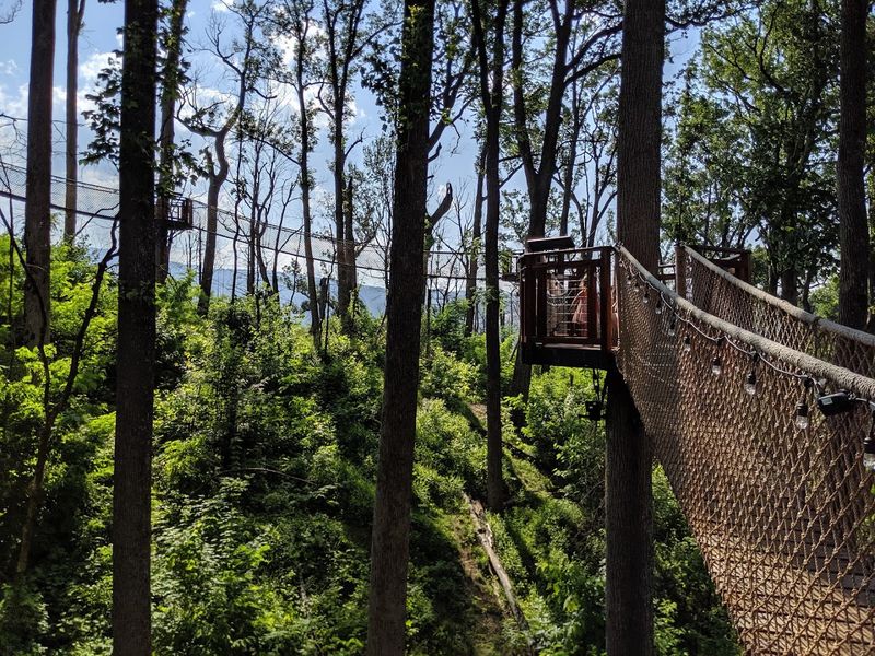 Spring Foliage Transforms Every Step Of The Walk