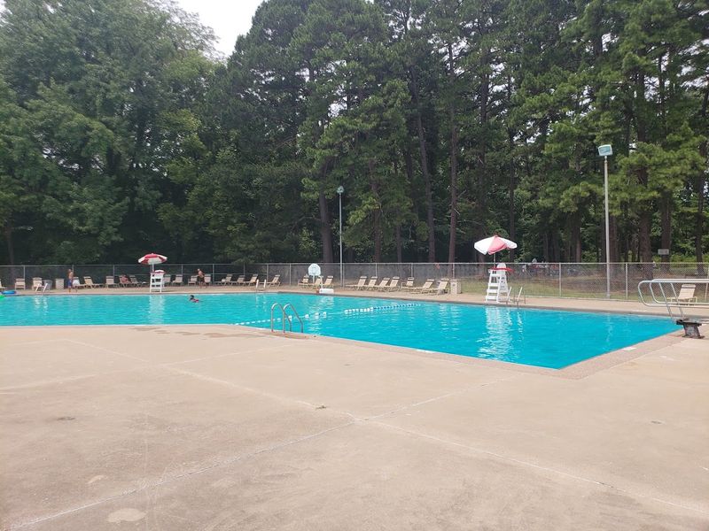 The Swimming Pool Turns Summer Days Into Something Special