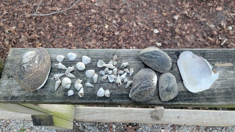 The Beach And Day Use Area Make This Perfect For Families With Young Kids