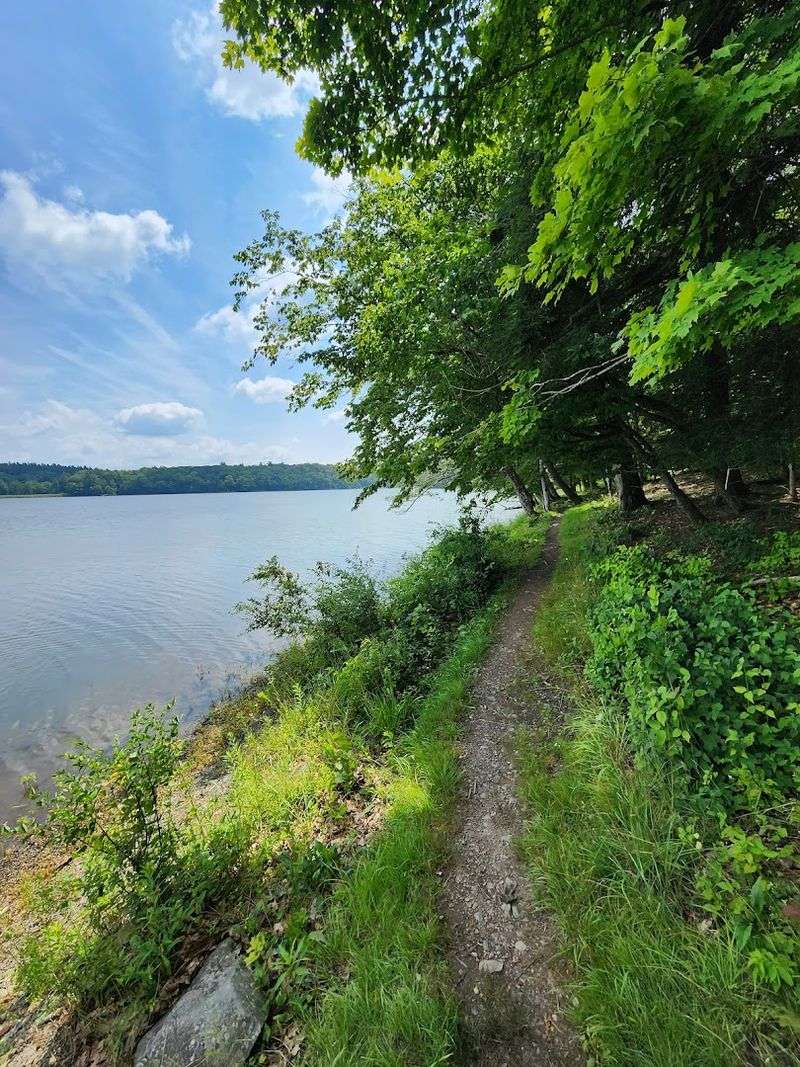 Lake Myosotis And The Loop That Surrounds It