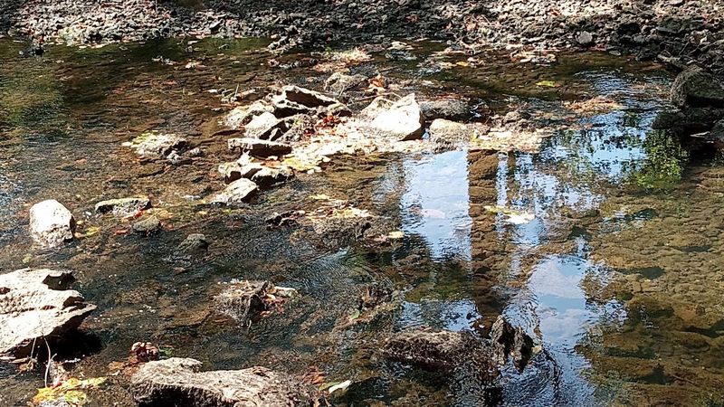Coon Creek Science Center, McNairy County