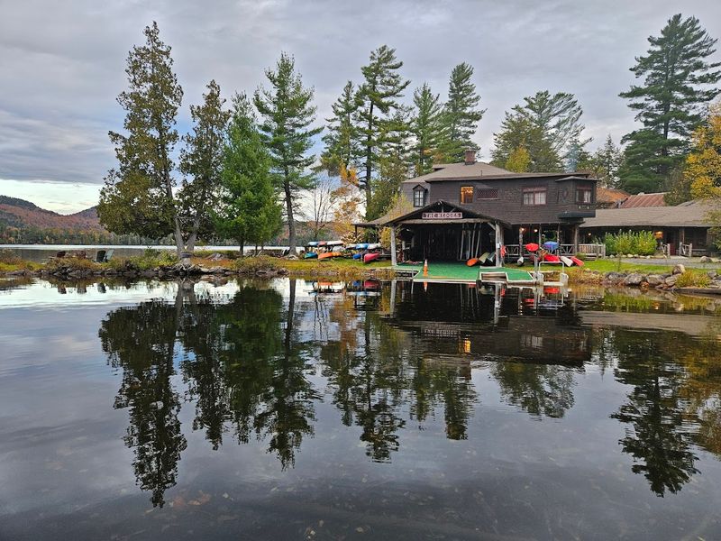The Hedges On Blue Mountain Lake