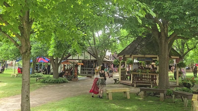 The Setting Is Surrounded By Trees And Natural Scenery