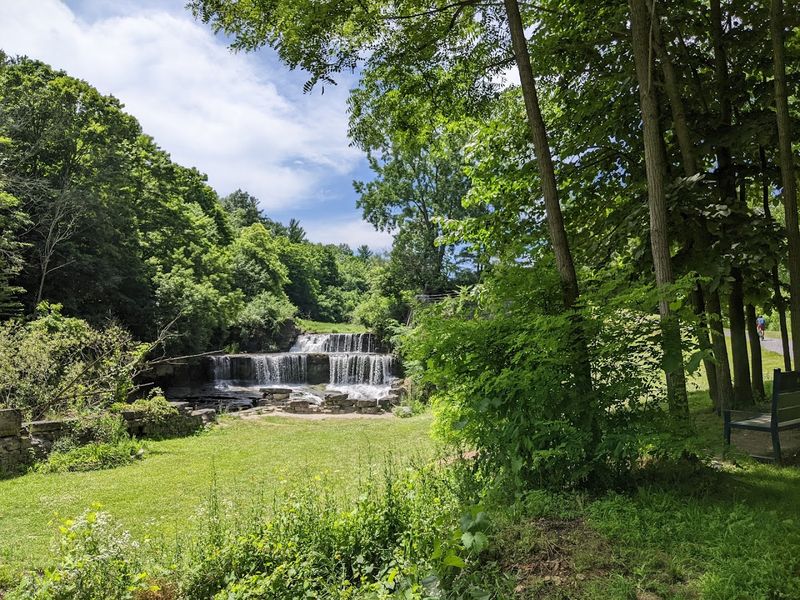 Wildlife, Seasons, And The Living Landscape