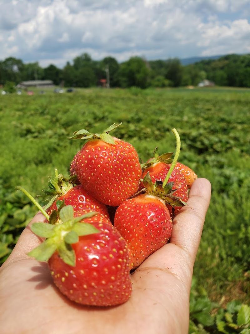 Pricing That Makes The Trip Absolutely Worth Every Cent