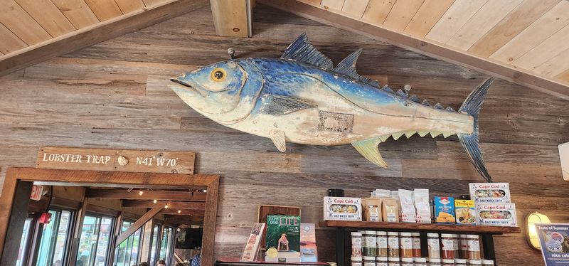 Atmosphere That Feels Casual And Comfortable Without Being Forgettable