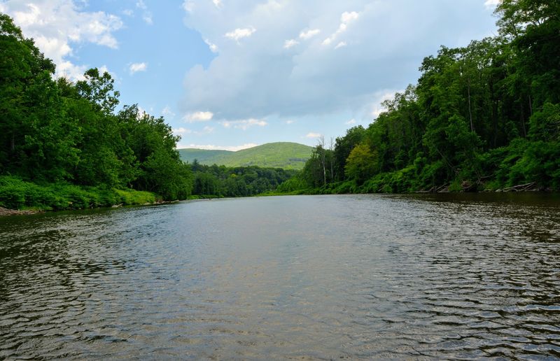 Swimming Holes And Quiet Pools Worth Seeking Out