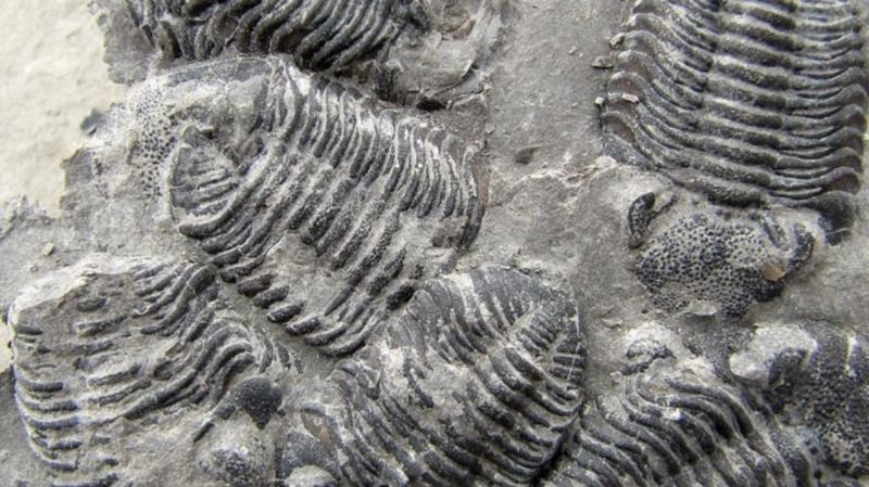 Guided Orientations And Expert Staff Who Make The Difference