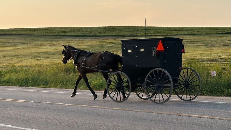 Why The Drive Feels Worth It Before You Even Arrive