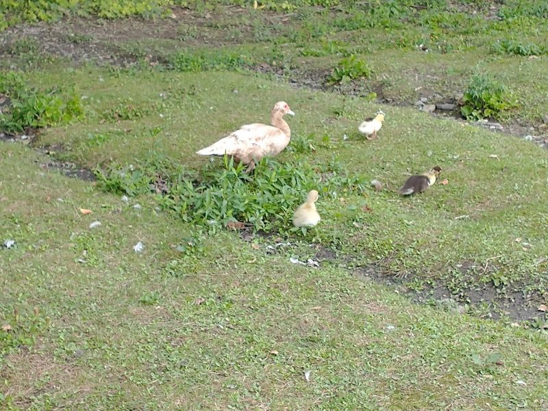 Wildlife Encounters On The Eastern End Of The Trail