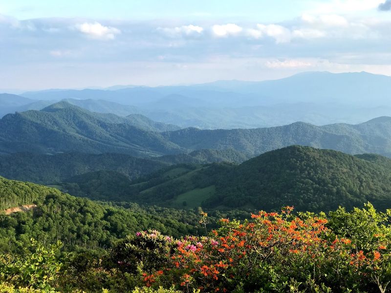Roan Mountain's Summit Views Across Two States
