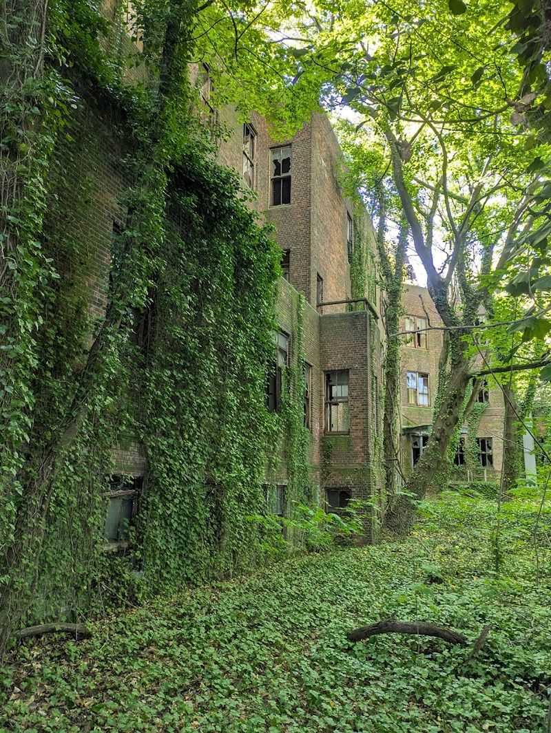 Nature Has Taken Over In The Most Striking Way