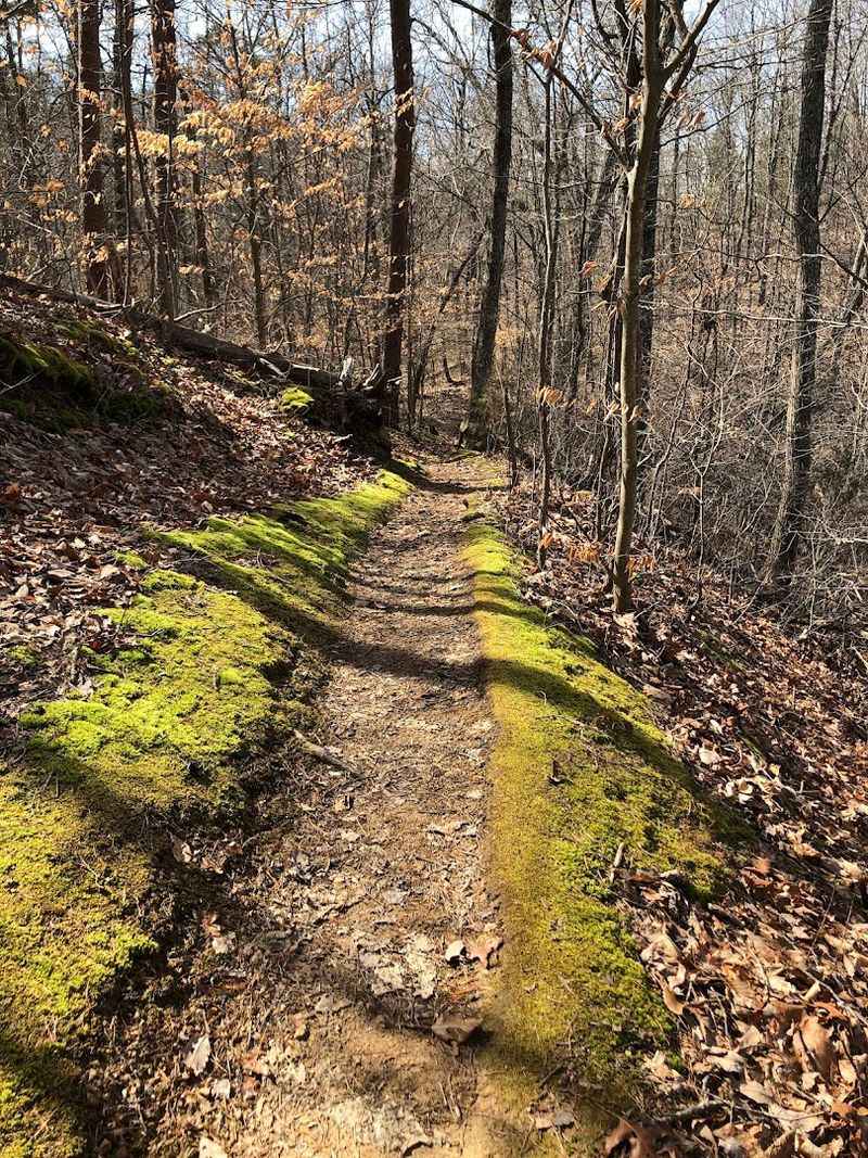 The Indian Rock Loop Trail For Experienced Hikers