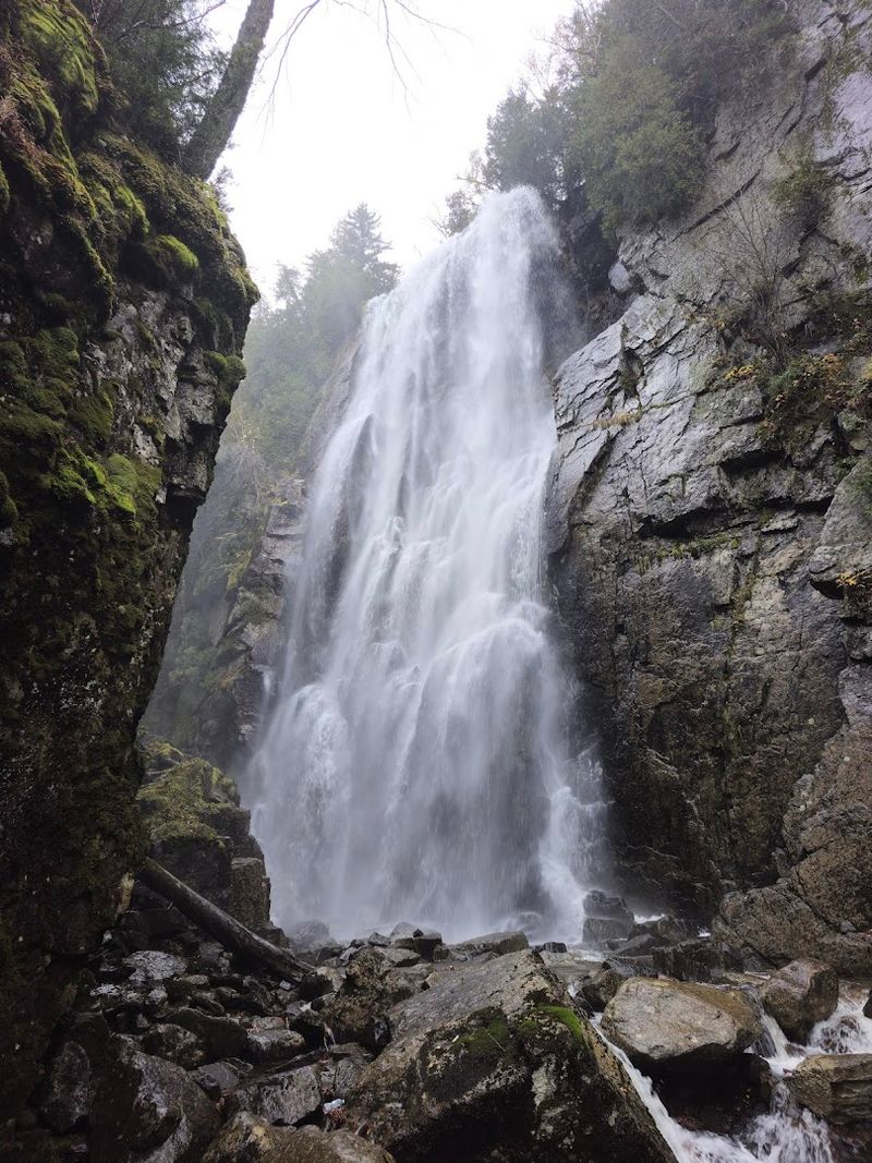 Beaver Meadow Falls Arrives Like A Reward You Did Not Know Was Coming