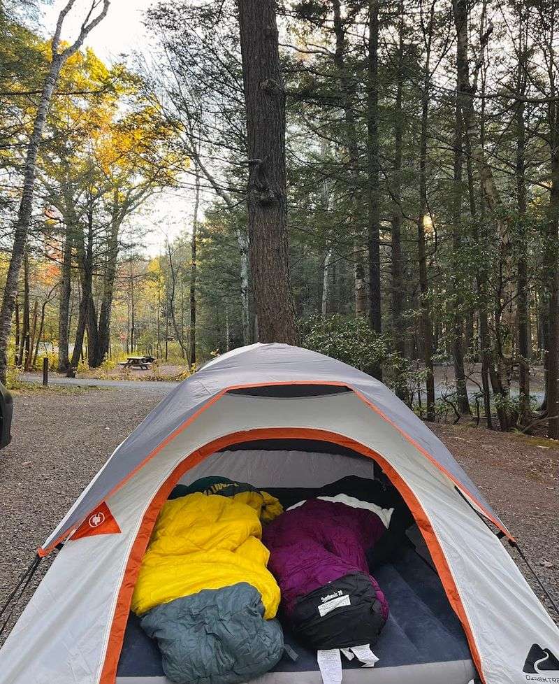 Campsite Quality And The Comfort Of Well-Maintained Facilities