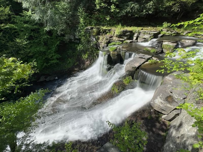 Why This Trail Belongs On Every Albany-Area Hiking List