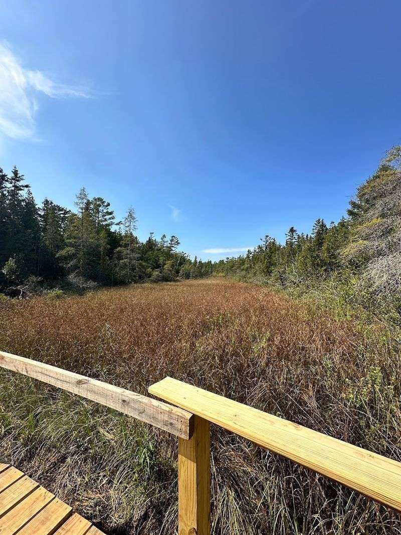 A Lighthouse Stop That Feels Like Stepping Into The Past