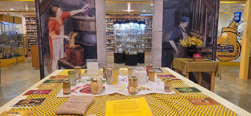 Why This Museum Feels Nothing Like A Typical Stop