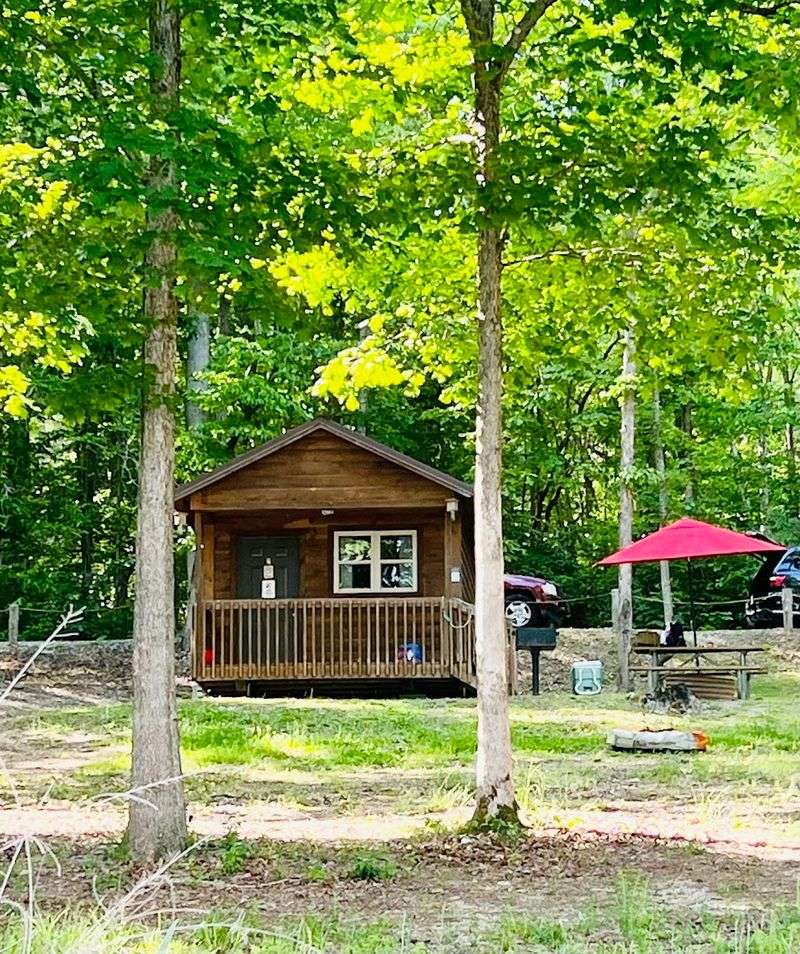 Cabins On The Water For Those Who Prefer A Roof Overhead