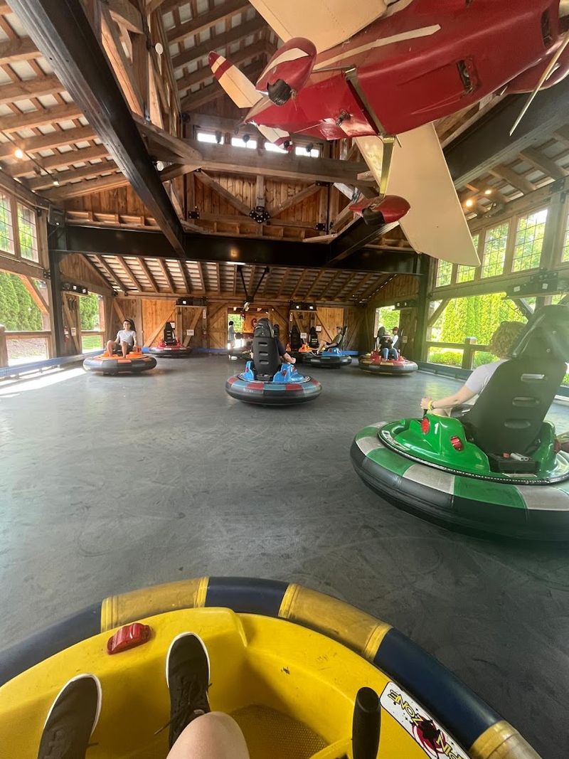 Bumper Boats And Bumper Cars That Kids Cannot Get Enough Of