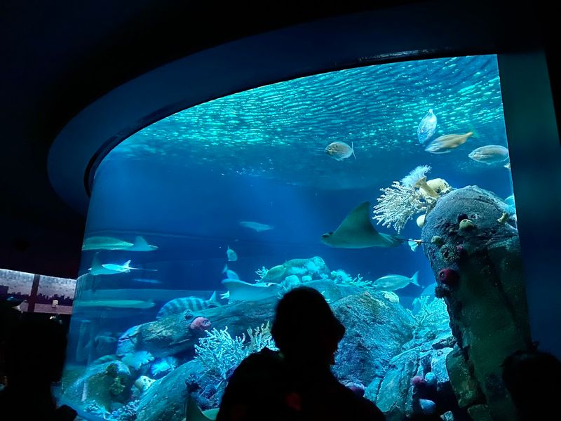 Planning Your Visit: What To Know Before You Go