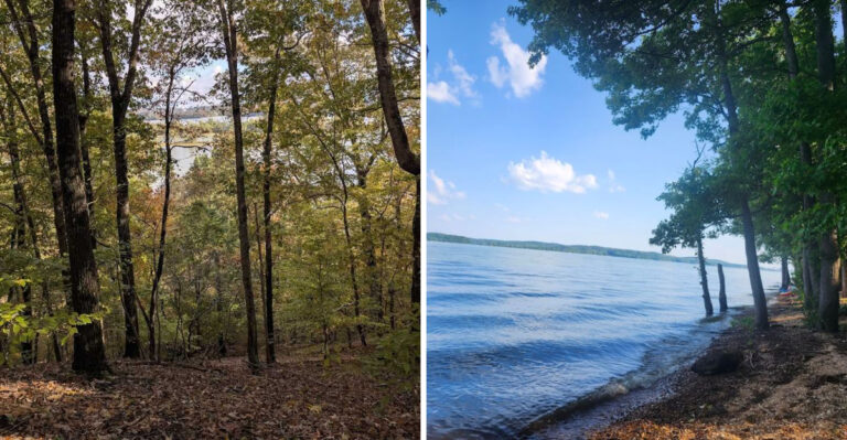 The Most Peaceful State Park In Tennessee Belongs On Your 2026 Day Trip List