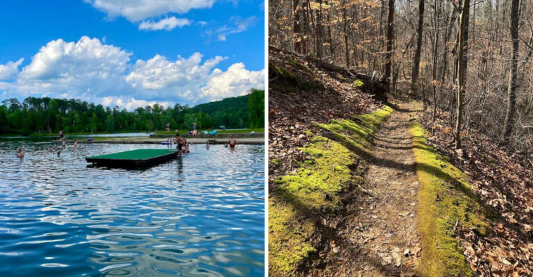 The Overlooked Tennessee State Park Where You Can Enjoy A Full Day Swimming And Hiking For Free This Season