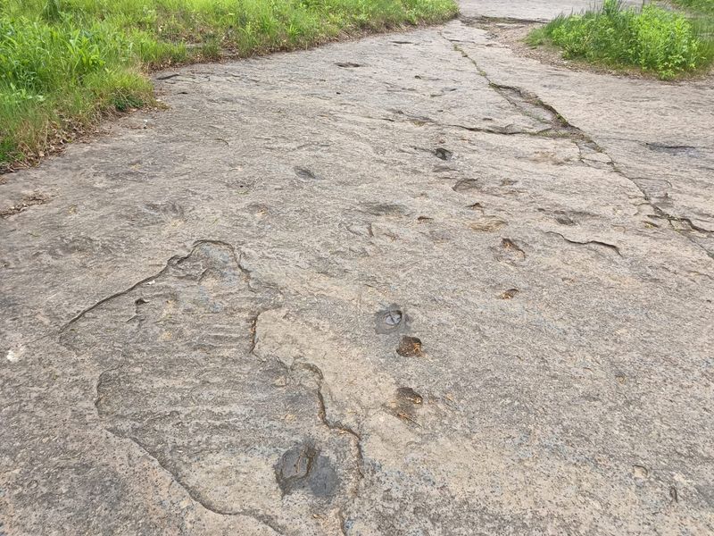 Dinosaur Footprints Reservation, Holyoke