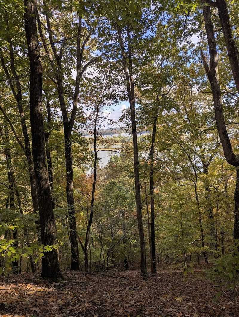 Hiking Trails Here Cover Every Skill Level Without Feeling Overcrowded