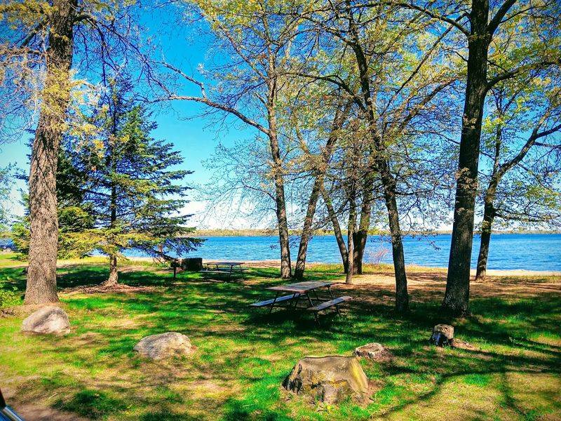 Towering Pines And Open Spaces Create A Peaceful Camping Setting