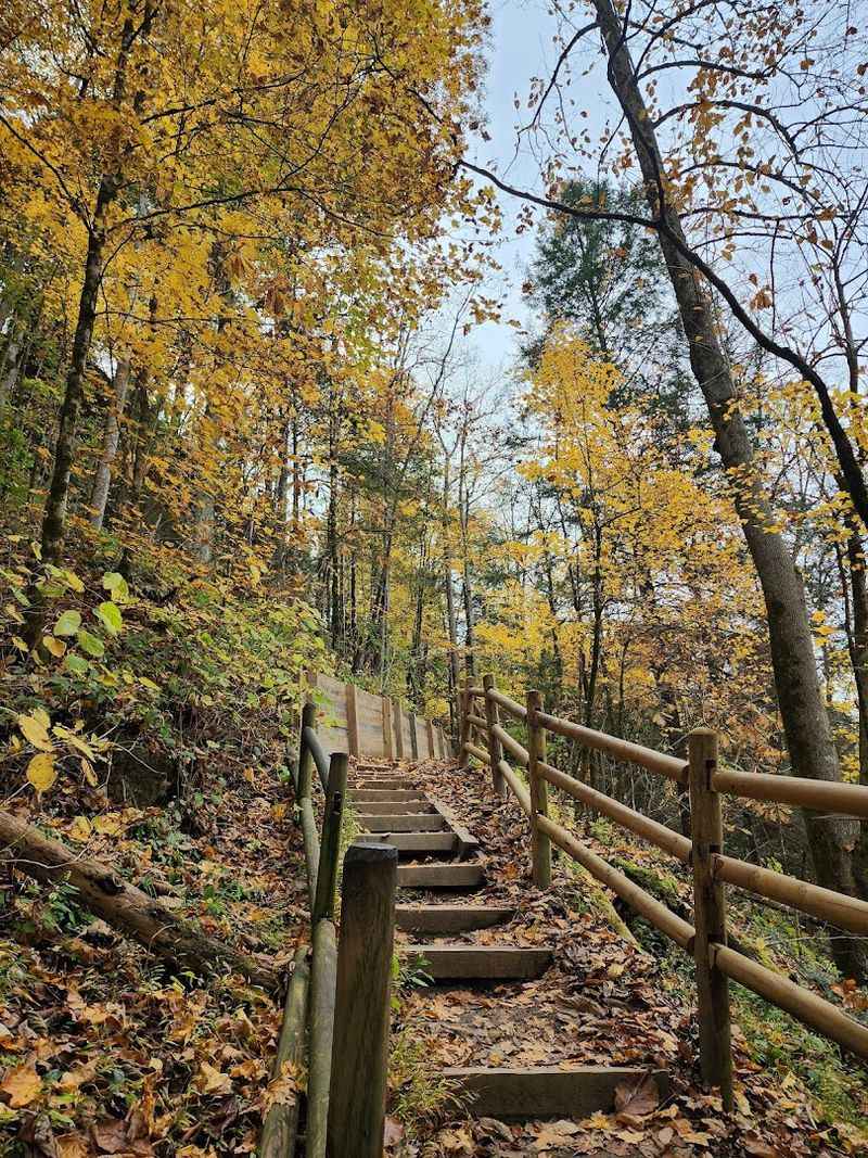 Footwear Is Not Optional Down Here