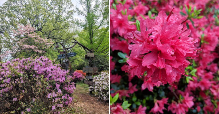 The Picturesque Garden In Tennessee That Will Make You Look Twice